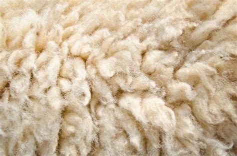 Sheep Wool Price